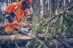 HUSQVARNA 560XP® mkII