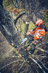 HUSQVARNA 560XP® mkII