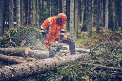 HUSQVARNA 560XP® mkII